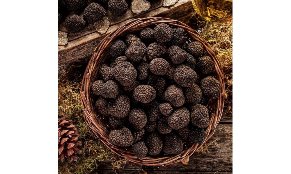 AROMA E PROFUMO DEL TARTUFO